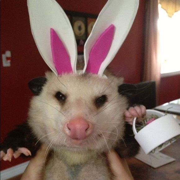 Hi, I’m Michelle❣️ - Picture 10 of 13